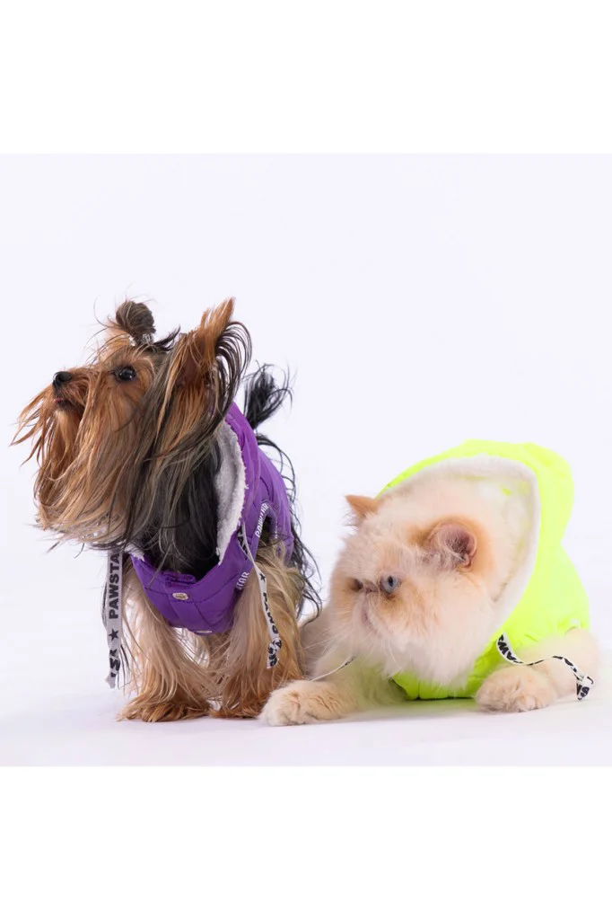 Pawstar Kedi ve KÜÇÜK Köpek Purple Railway Vest L Sırt33cm Göğüs4 Pawstar Kedi ve KÜÇÜK Köpek Purple Railway Vest L Sırt33cm Göğüs4