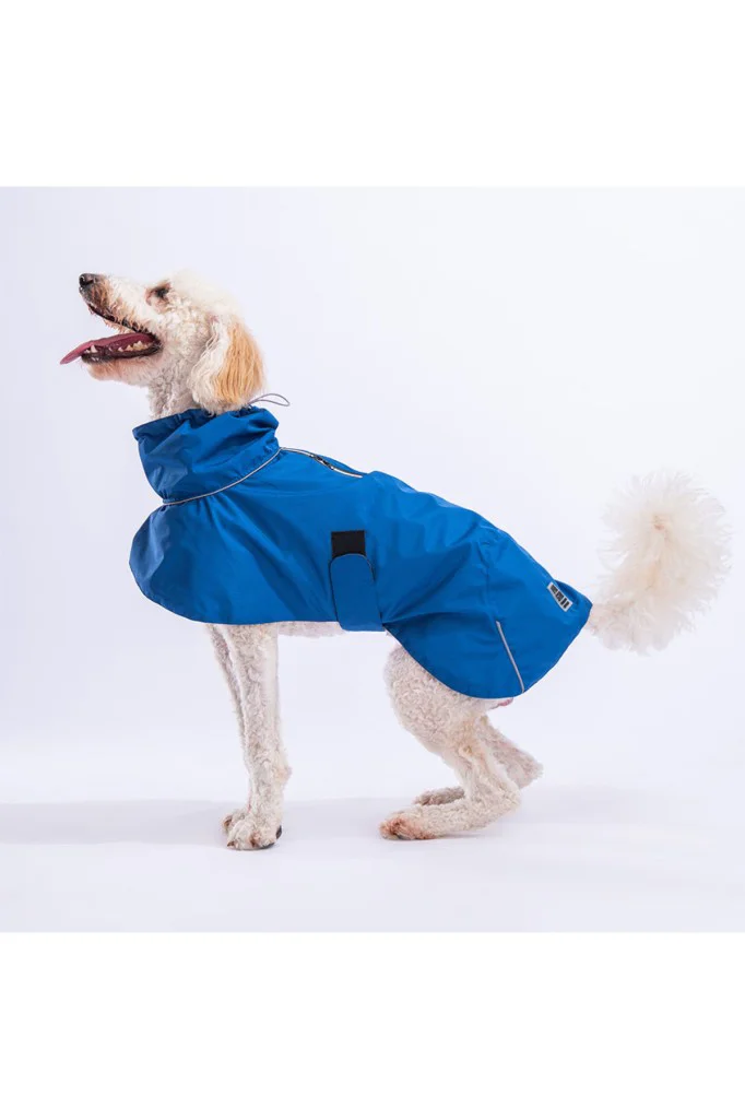 Pawstar Kedi ve KÜÇÜK Köpek MAVİ COLOMBİA RAİNCOAT L Sırt33cm Göğ