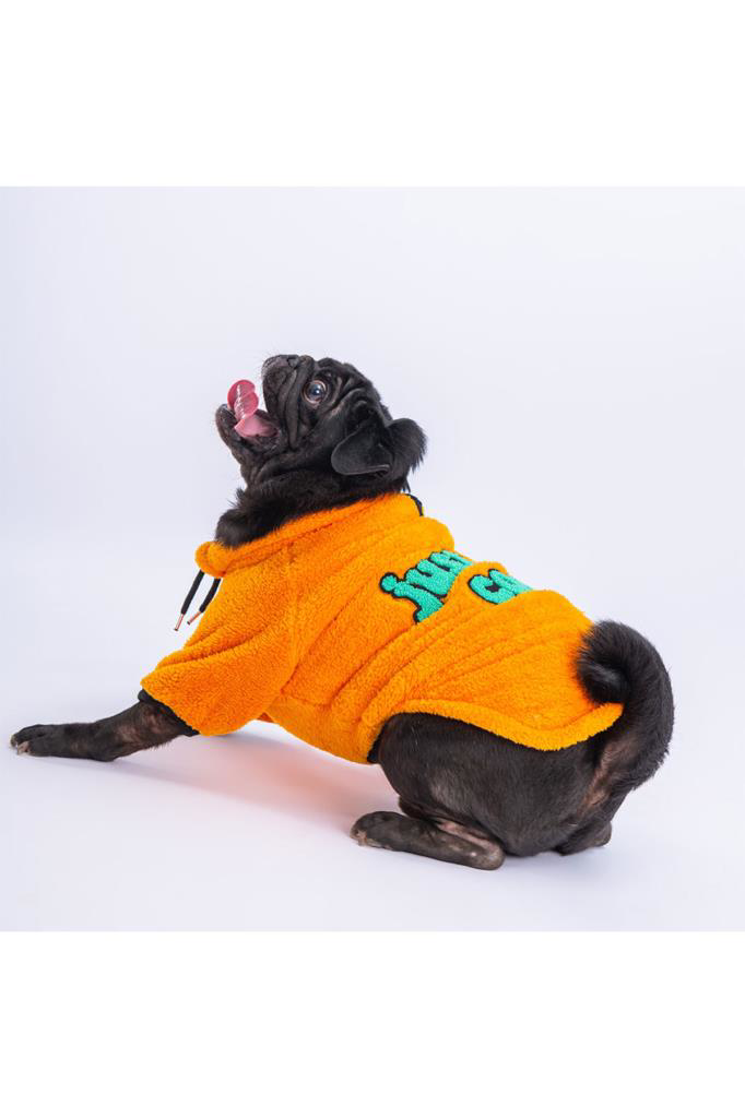 Pawstar Kedi ve KÜÇÜK Köpek Yellow Just Sweat XL Sırt38cm Göğüs55