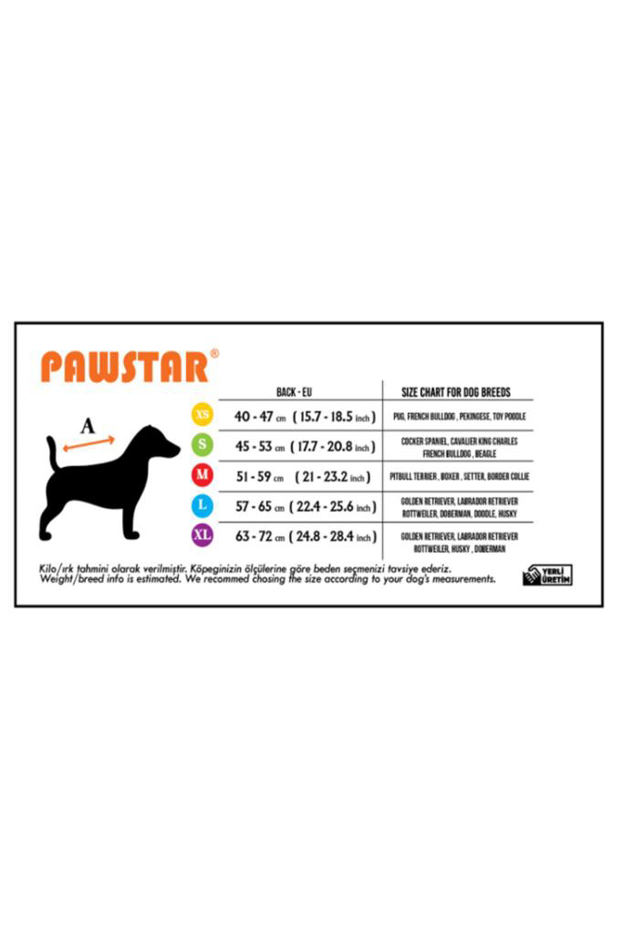 Pawstar  Kedi Ve Küçük Köpek Mint Colombia Raincoat M Sirt28cm Göğ