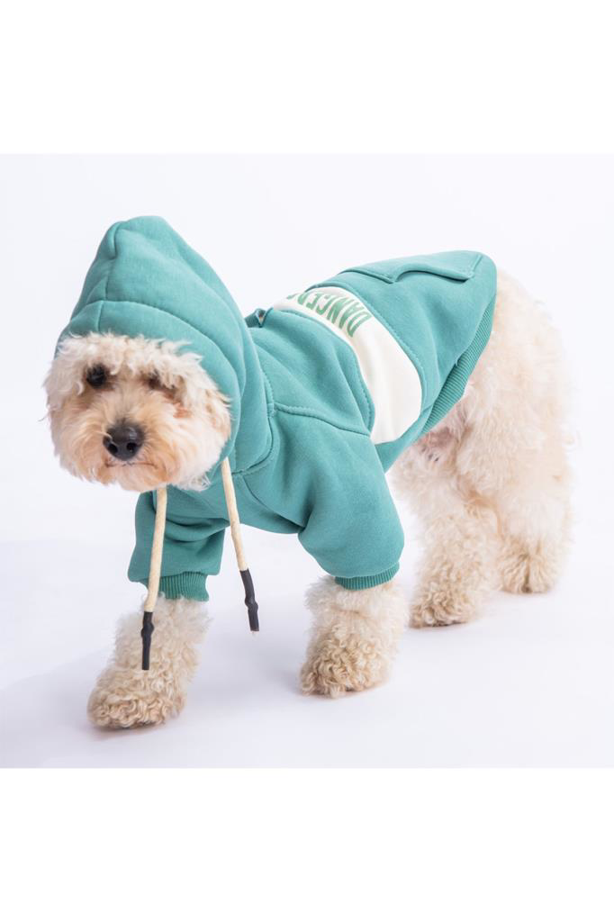 Pawstar Kedi ve KÜÇÜK Köpek Green Cute Hoodie L Sırt33cm Göğüs46c