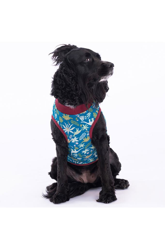 Pawstar Kedi ve KÜÇÜK Köpek T-Shirt Dino L Sırt33cm Göğüs46cm Boy