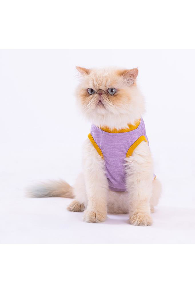 Pawstar Kedi ve KÜÇÜK Köpek T-Shirt Plum Lazy S Sırt24cm Göğüs37c