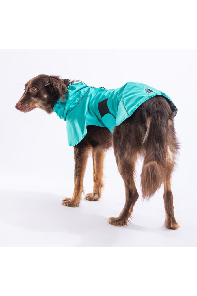 Pawstar Kedi ve KÜÇÜK Köpek Mint Colombia Raincoat S Sırt24cm Göğ
