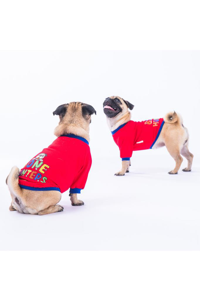 Pawstar Kedi ve KÜÇÜK Köpek Red Bone Hunter Sweat M Sırt28cm Göğü