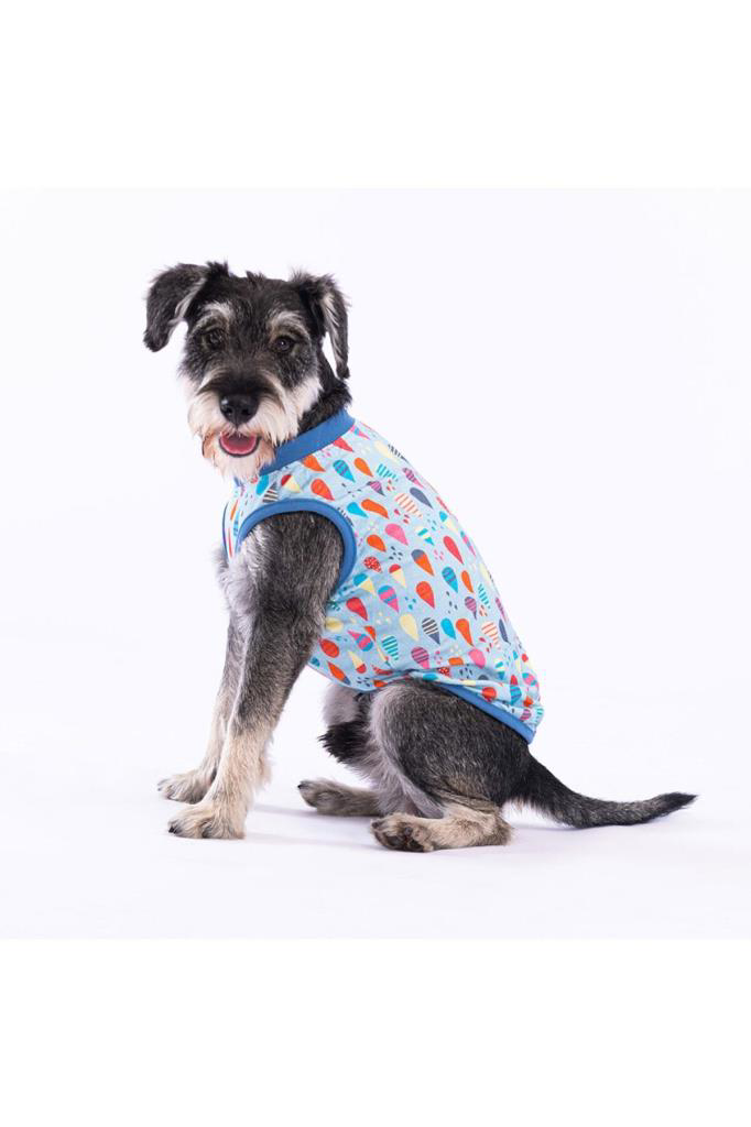 Pawstar Kedi ve KÜÇÜK Köpek T-Shirt Blop 2XL Sırt43cm Göğüs58cm B