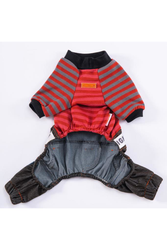 Pawstar Kedi ve KÜÇÜK Köpek Terracotta Foodie Rompers 2XL Sırt38c