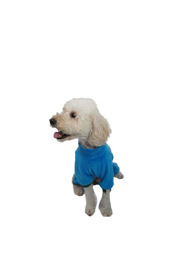 Pawstar  Kedi Ve Küçük Köpek Mavi Smile Tulum Xl Sirt38cm Göğüs55c