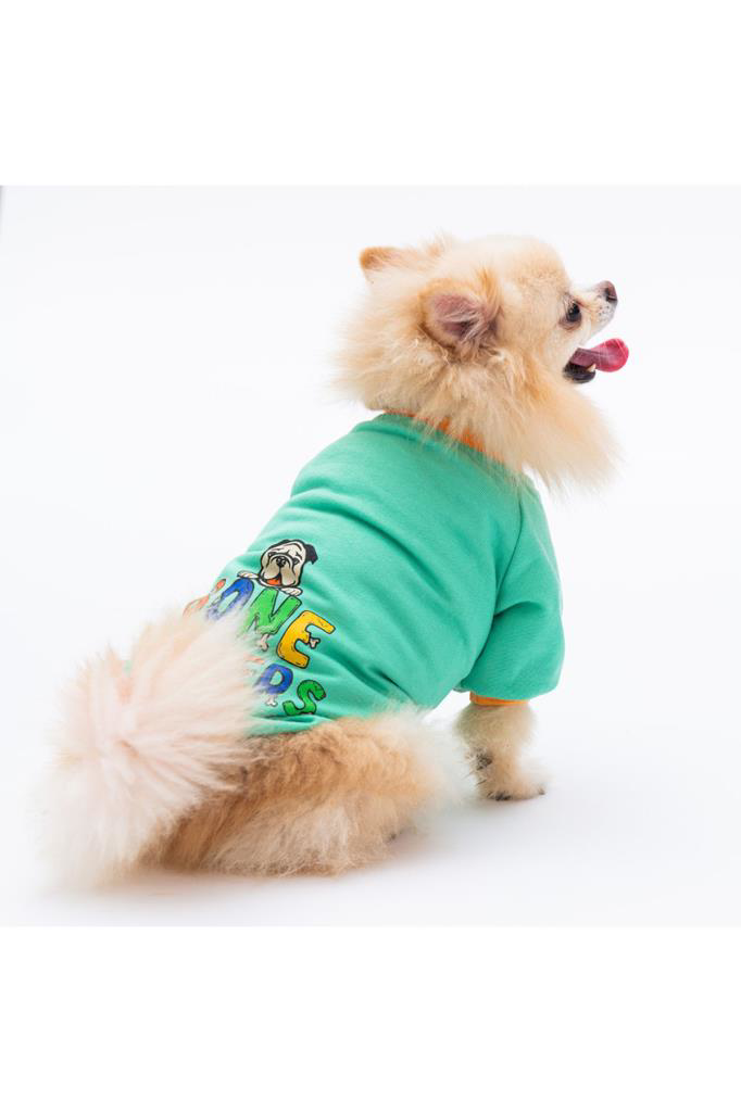 Pawstar Kedi ve KÜÇÜK Köpek Mint Bone Hunter Sweat XL Sırt38cm Gö