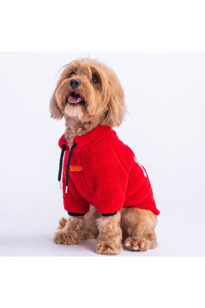 Pawstar Kedi ve KÜÇÜK Köpek Red Just Sweat M Sırt28cm Göğüs41cm B