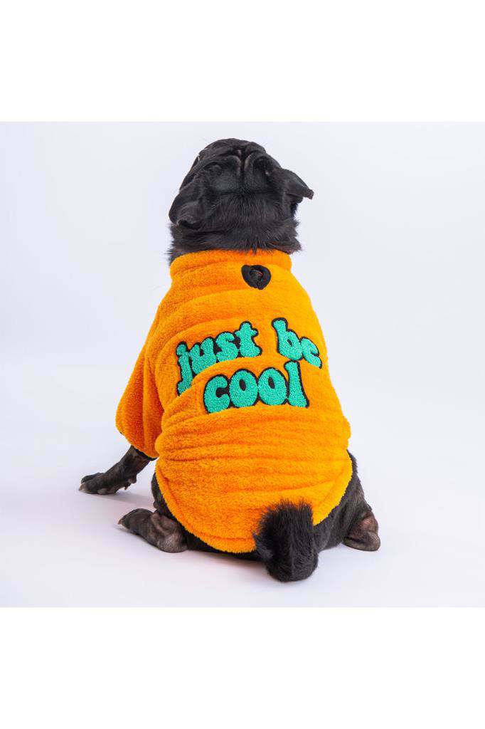 Pawstar Kedi ve KÜÇÜK Köpek Yellow Just Sweat XL Sırt38cm Göğüs55