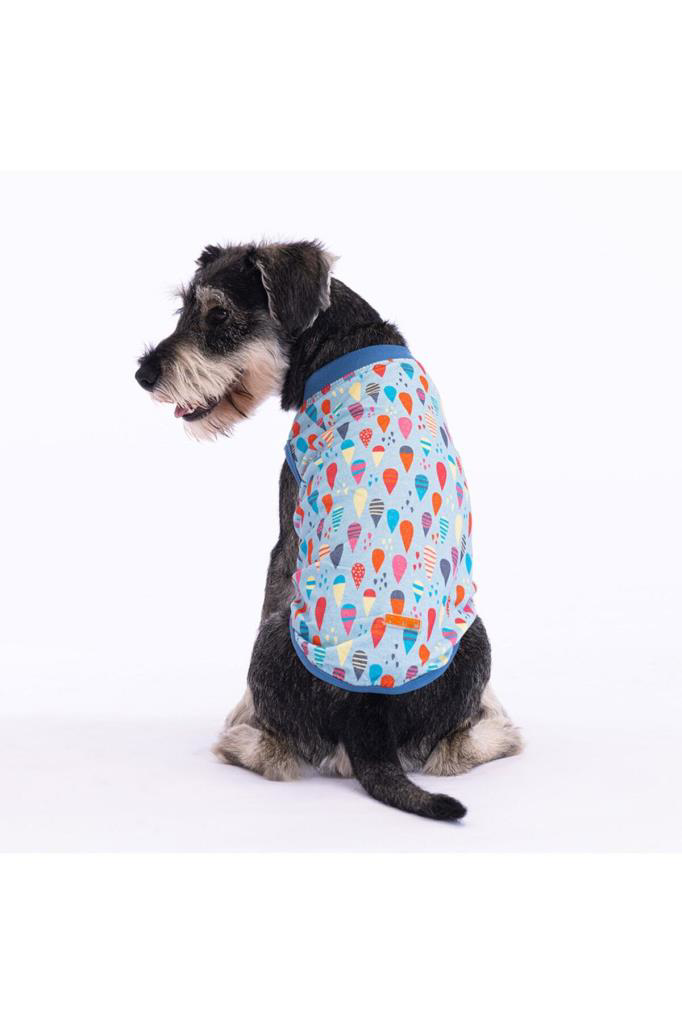 Pawstar  Kedi Ve Küçük Köpek T-Shirt Blop M Sirt28cm Göğüs41cm Boy