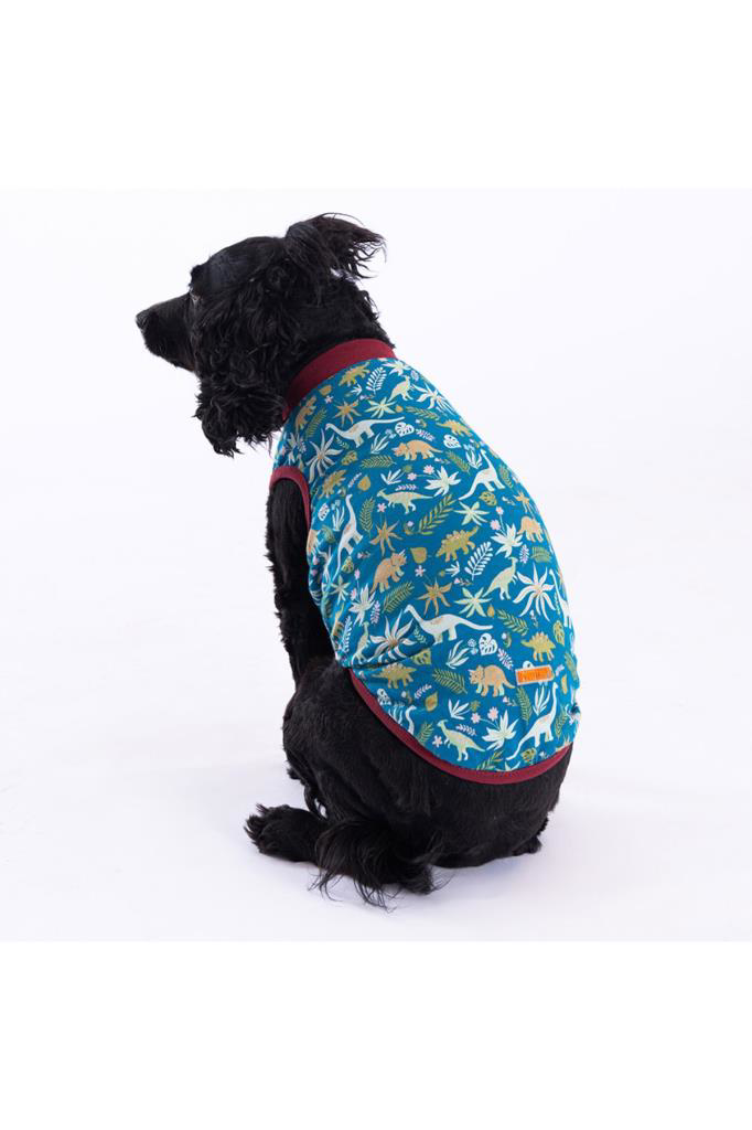 Pawstar Kedi ve KÜÇÜK Köpek T-Shirt Dino XL Sırt38cm Göğüs55cm Bo