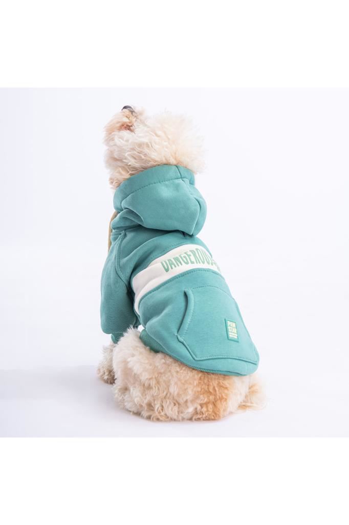Pawstar Kedi ve KÜÇÜK Köpek Green Cute Hoodie L Sırt33cm Göğüs46c