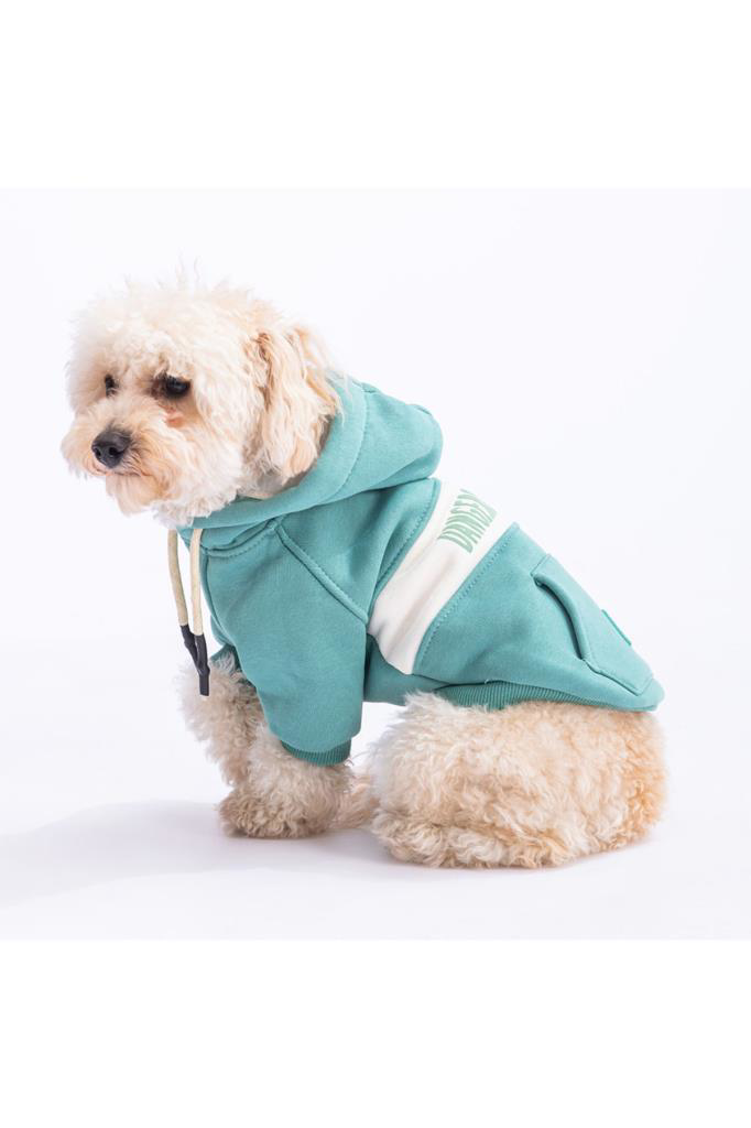 Pawstar Kedi ve KÜÇÜK Köpek Green Cute Hoodie L Sırt33cm Göğüs46c
