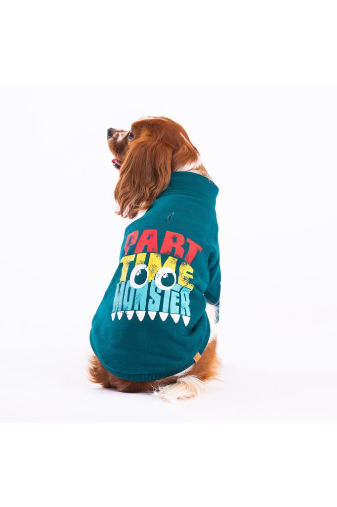 Pawstar  Köpek Green Monster Jacket Large Sirt33cm Göğüs46cm Boyun