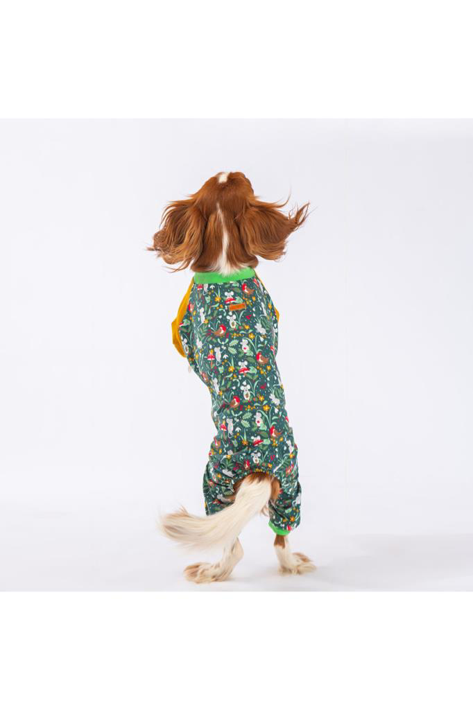 Pawstar Köpek Mice Pyjamas Large Sırt33cm Göğüs46cm Boyun30cm
