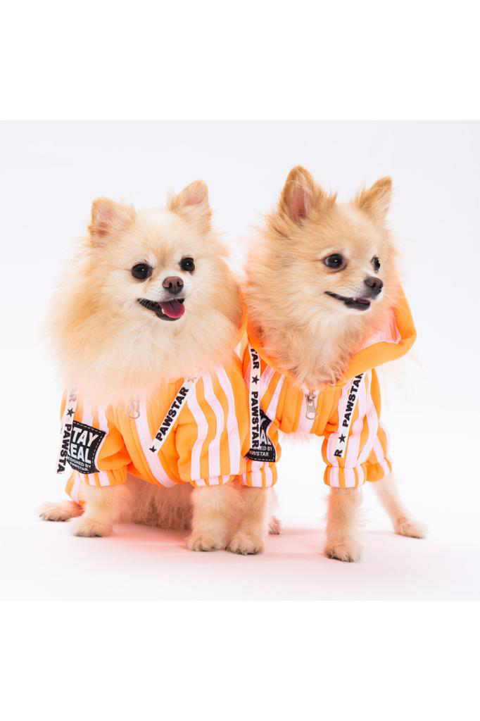 Pawstar Köpek Orange Tuta Rompers Medium Sırt28cm Göğüs41cm Boyun