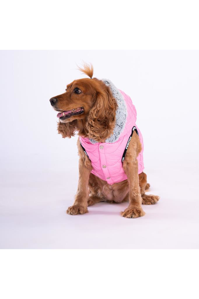 Pawstar Köpek Pink Light Wave Vest Large Sırt33cm Göğüs46cm Boyun