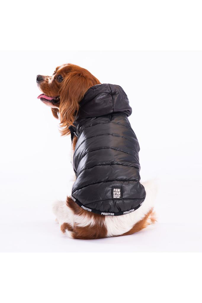 Pawstar Köpek Siyah Railway Yelek 2XLarge Sırt43cm Göğüs58cm Boyu