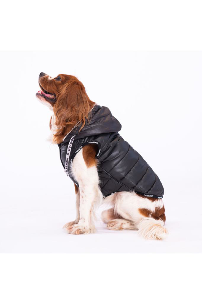 Pawstar Köpek Siyah Railway Yelek XLarge Sırt38cm Göğüs55cm Boyun