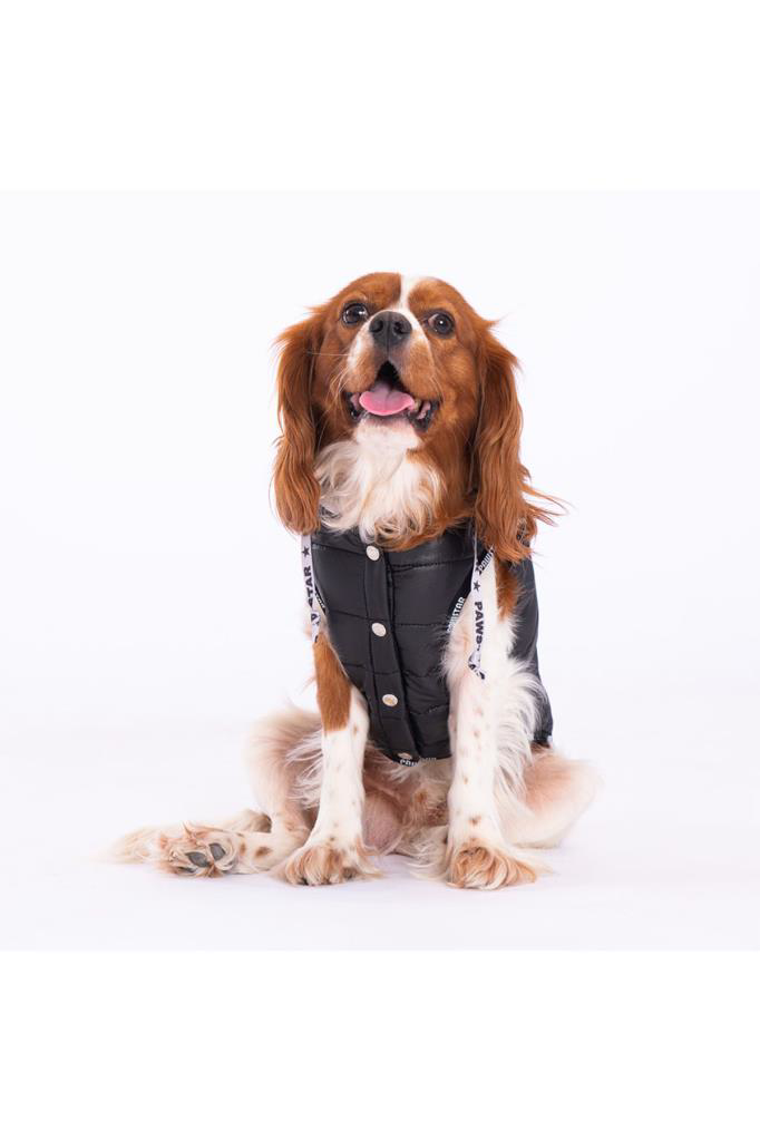 Pawstar Köpek Siyah Railway Yelek 2XLarge Sırt43cm Göğüs58cm Boyu