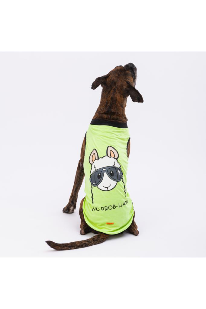 Pawstar Köpek T-Shirt Yeşil No Prob-Lama Büyük 3XLarge Sırt49cm G