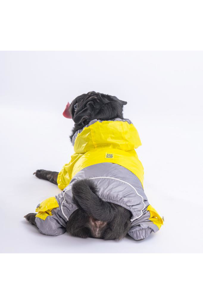 Pawstar  Köpek Yellow-Grey Bicolor Rompers L Sirt33cm Göğüs46cm Bo