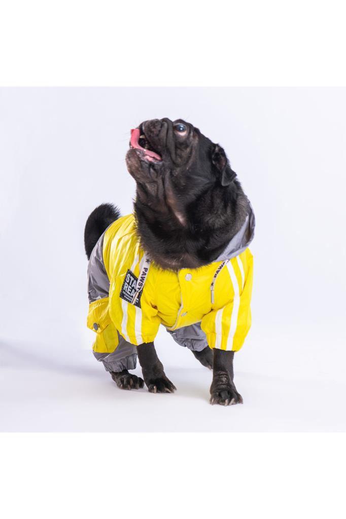 Pawstar  Köpek Yellow-Grey Bicolor Rompers L Sirt33cm Göğüs46cm Bo