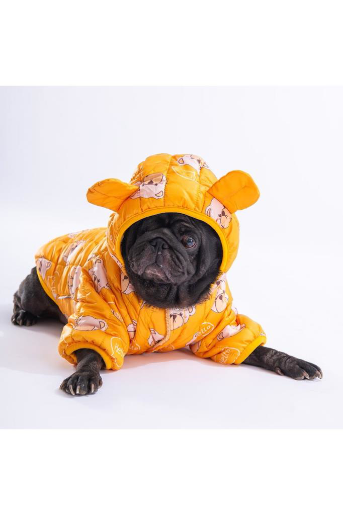 Pawstar  Köpek Yellow Teddy Puff Raincoat Large Sirt33cm Göğüs46cm