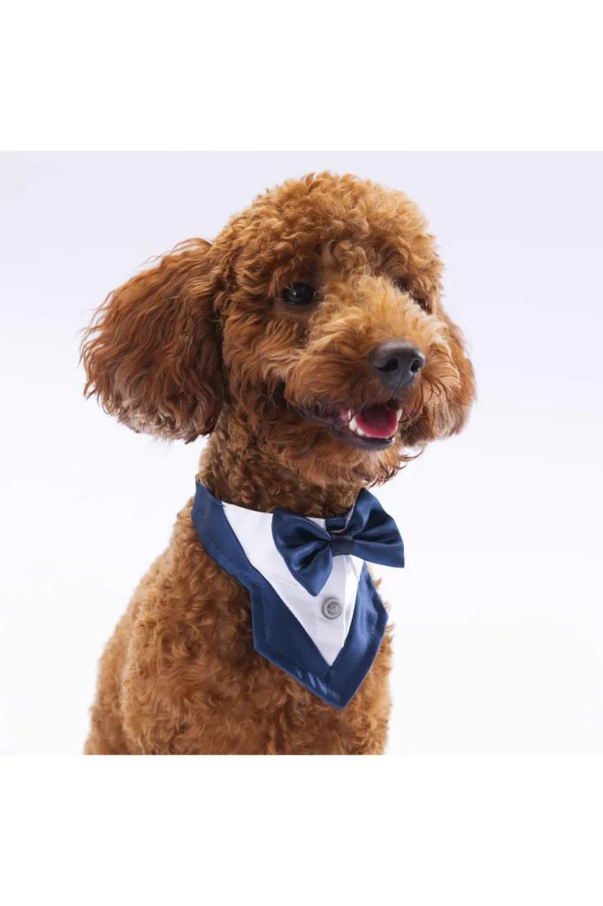 Pawstar Lüx Küçük Köpek FS4 Lacivert Smokin Fular Fular 1tane