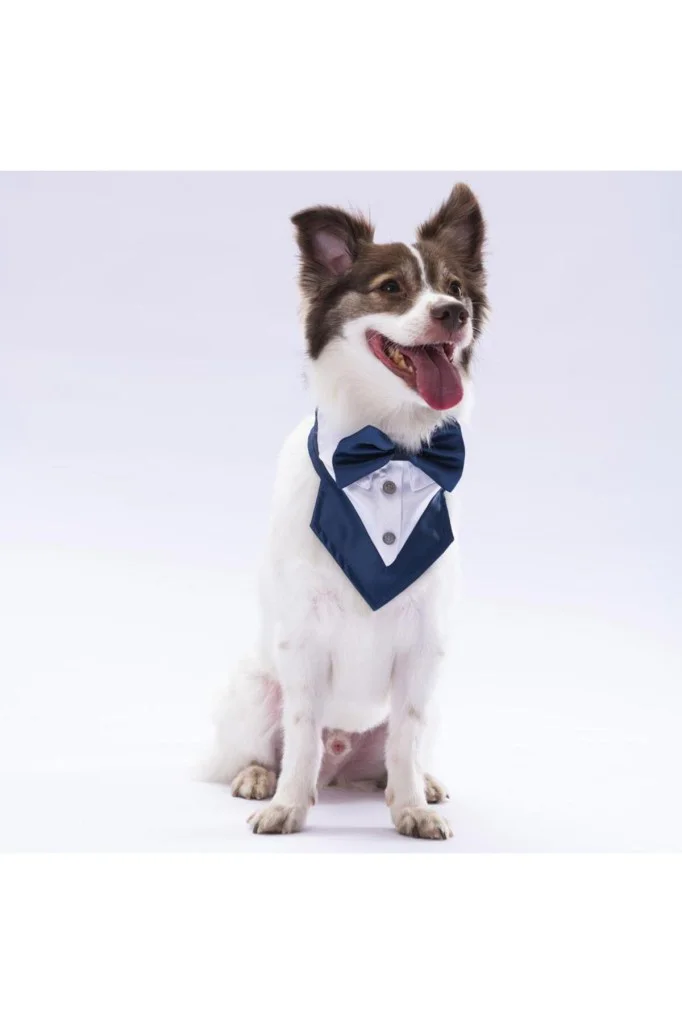 Pawstar Lüx Küçük Köpek FS4 Lacivert Smokin Fular Fular 1tane