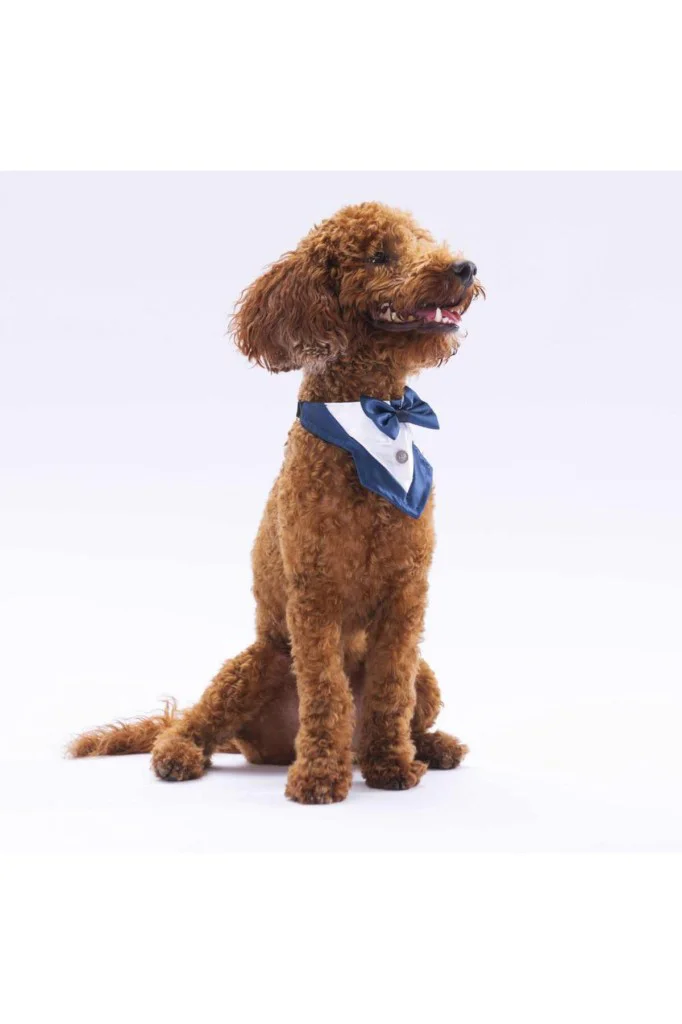 Pawstar Lüx Küçük Köpek FS4 Lacivert Smokin Fular Fular 1tane