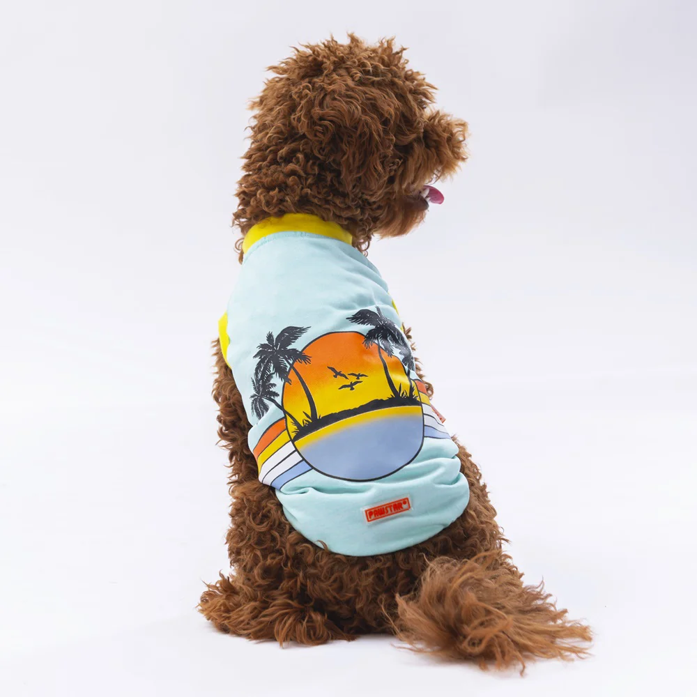 Pawstar Mint Sunrise Tişört XXLarge 38X43X58 cm
