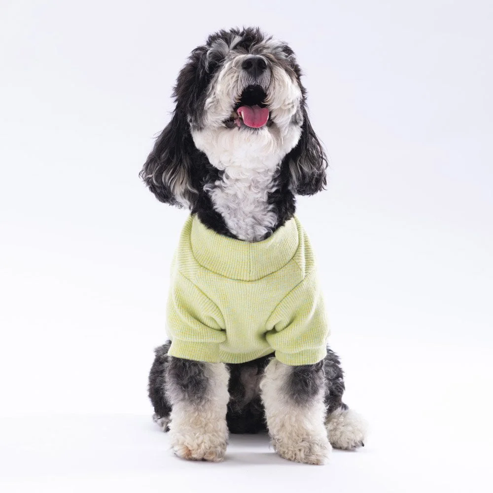 Pawstar Yellow Merino Sweat XXarge 38X43X58 cm