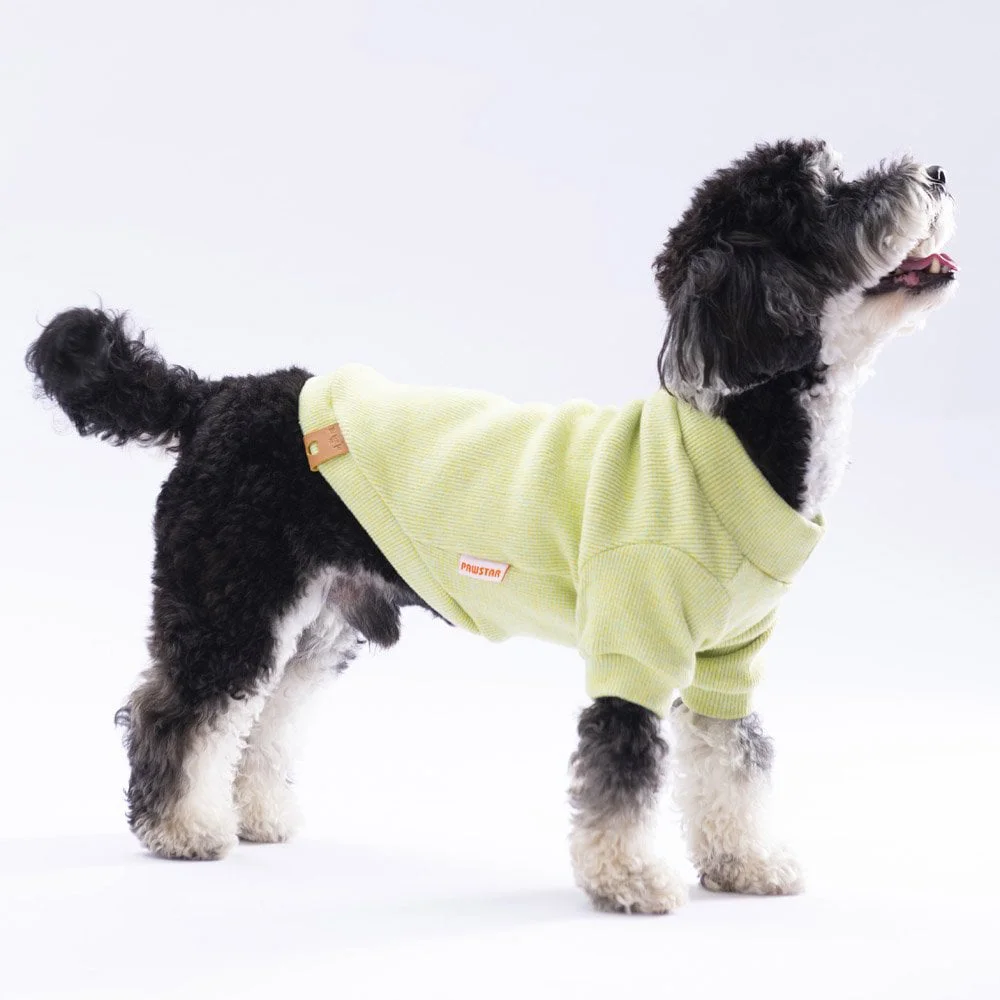 Pawstar Yellow Merino Sweat XXarge 38X43X58 cm