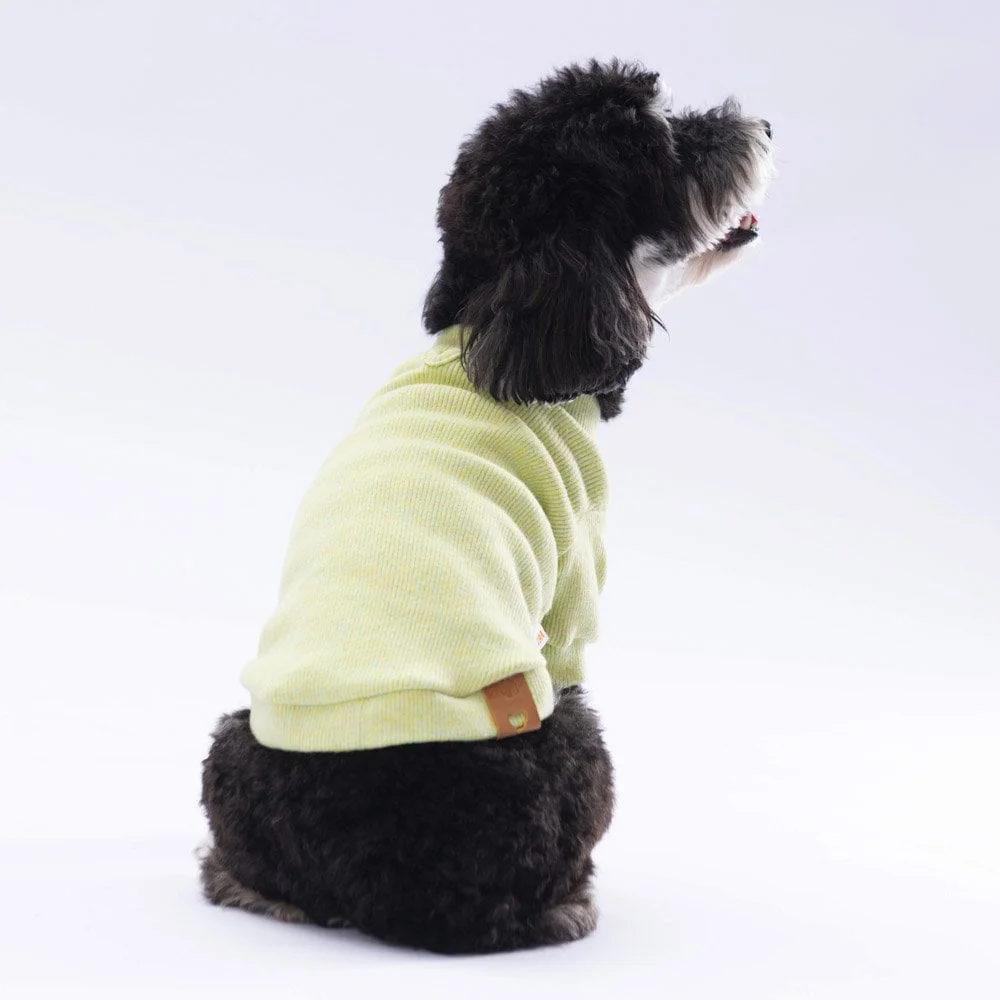 Pawstar Yellow Merino Sweat XXarge 38X43X58 cm