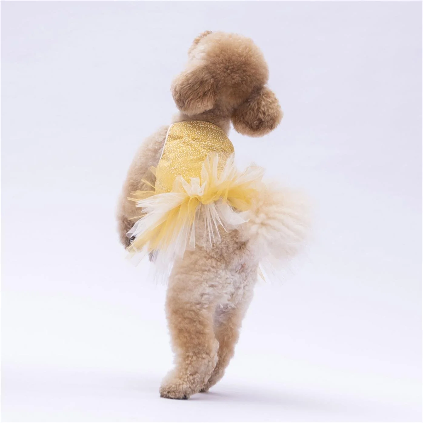 PawStar Yellow Polka-Dot XL 34 x 38 x 55 cm