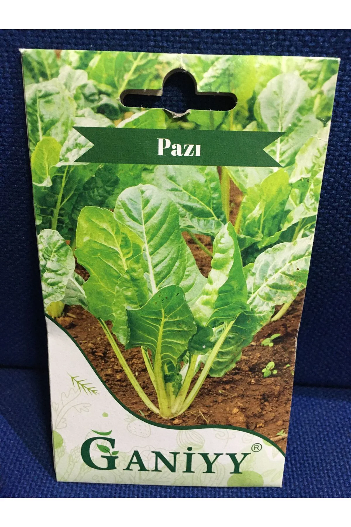 Pazı Tohumu 5 gr