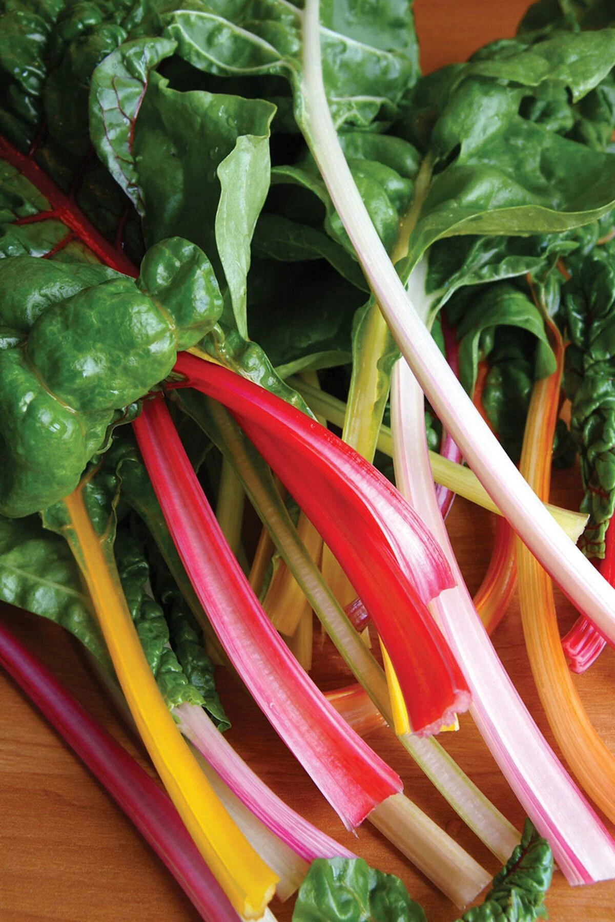 Pazı Tohumu Swiss Chard Bright Lights 8 Farklı Renk Geleneksel