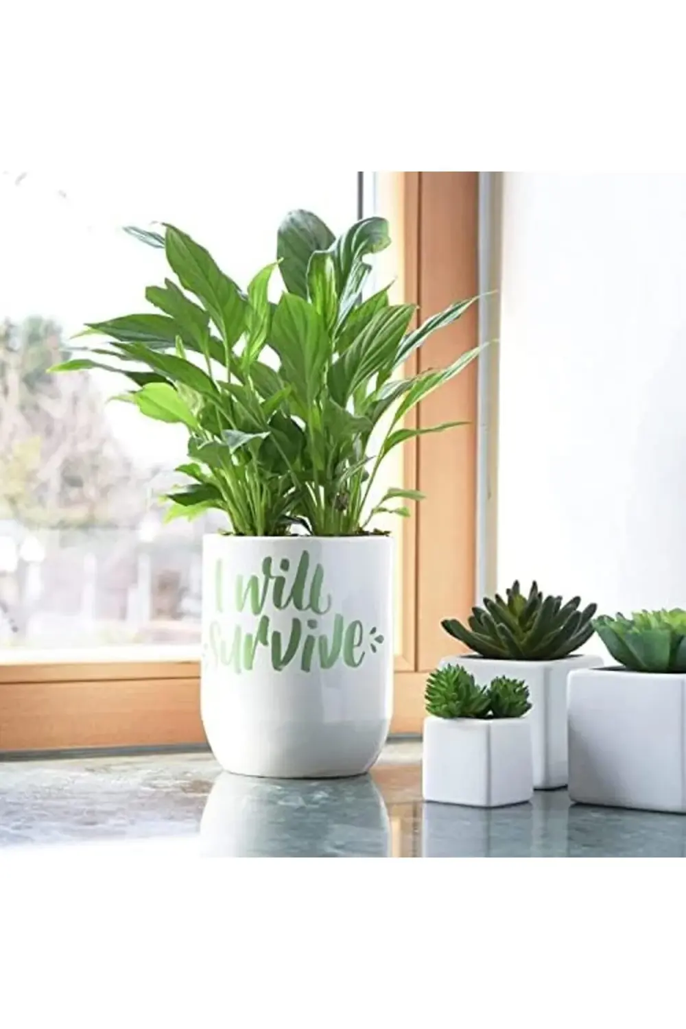 PC-3M/7+1P.01 Su Bazlı Poster Markörü, 1178227