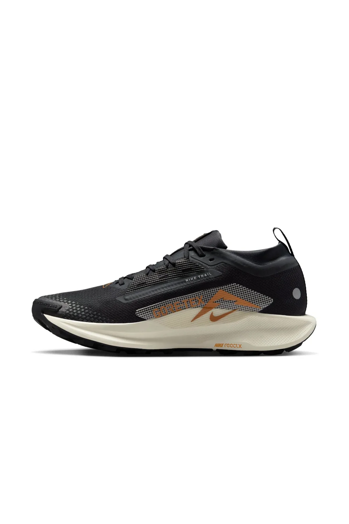 Pegasus Trail 5 Gore-tex Erkek Siyah Koşu FQ0908-007