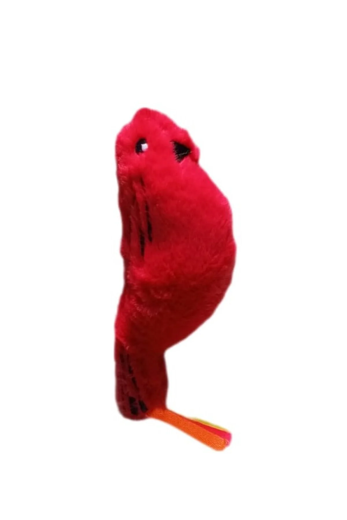 peluş kuş kedi otlu zilli kedi oyuncagı 23x8 cm