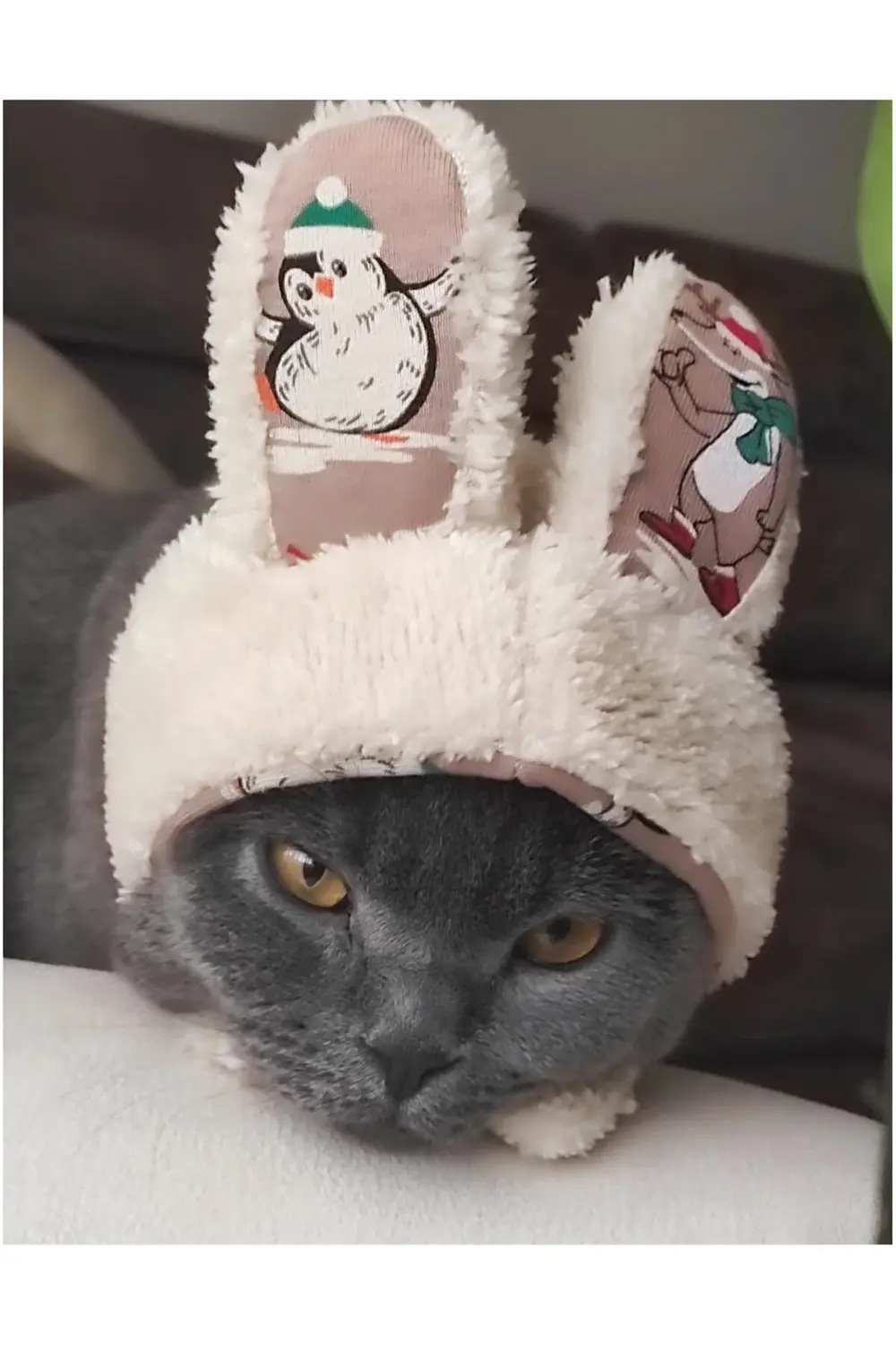 Peluş Tavşan Kulaklı Çizgi Film Karakterli Kedi Köpek Şapkası Yum