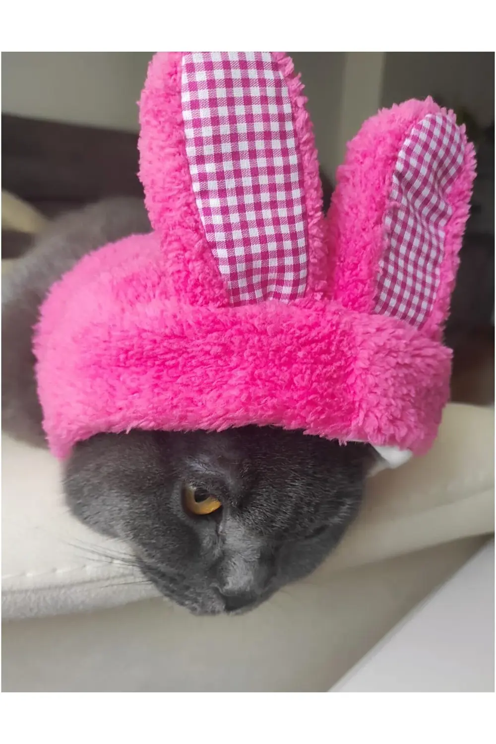 Peluş Tavşan Kulaklı Pembe Kedi Köpek Şapkası Yumuşacık Kedi Köpe