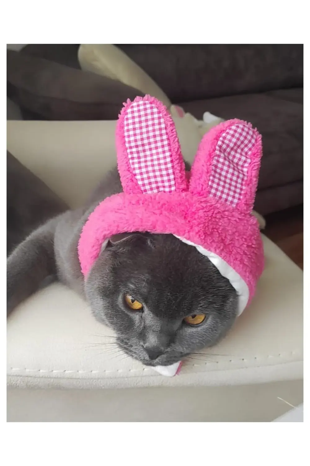 Peluş Tavşan Kulaklı Pembe Kedi Köpek Şapkası Yumuşacık Kedi Köpe