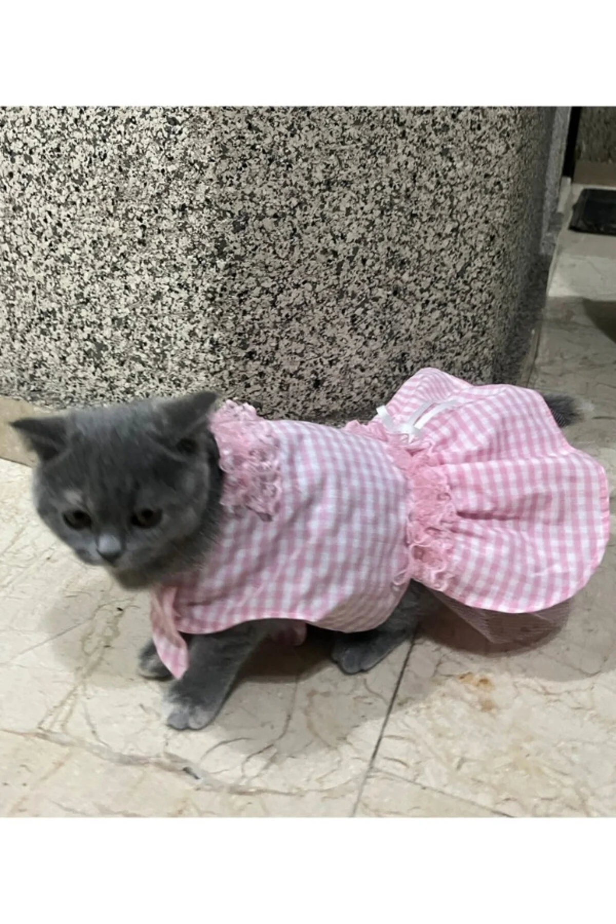 Pembe Beyaz Kareli Kurdeleli Kedi Köpek Kıyafeti Elbisesi