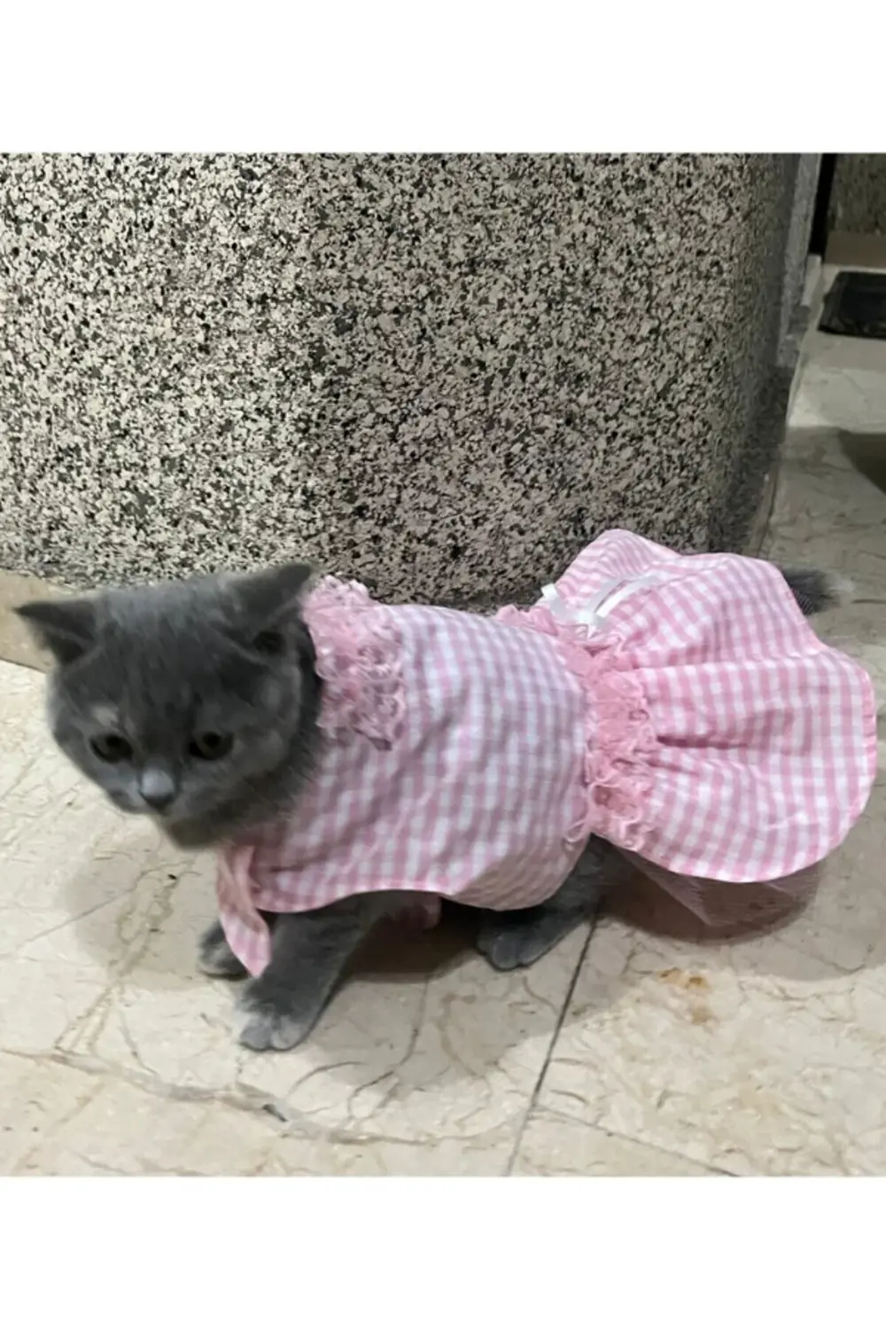 Pembe Beyaz Kareli Kurdeleli Kedi Köpek Kıyafeti Elbisesi