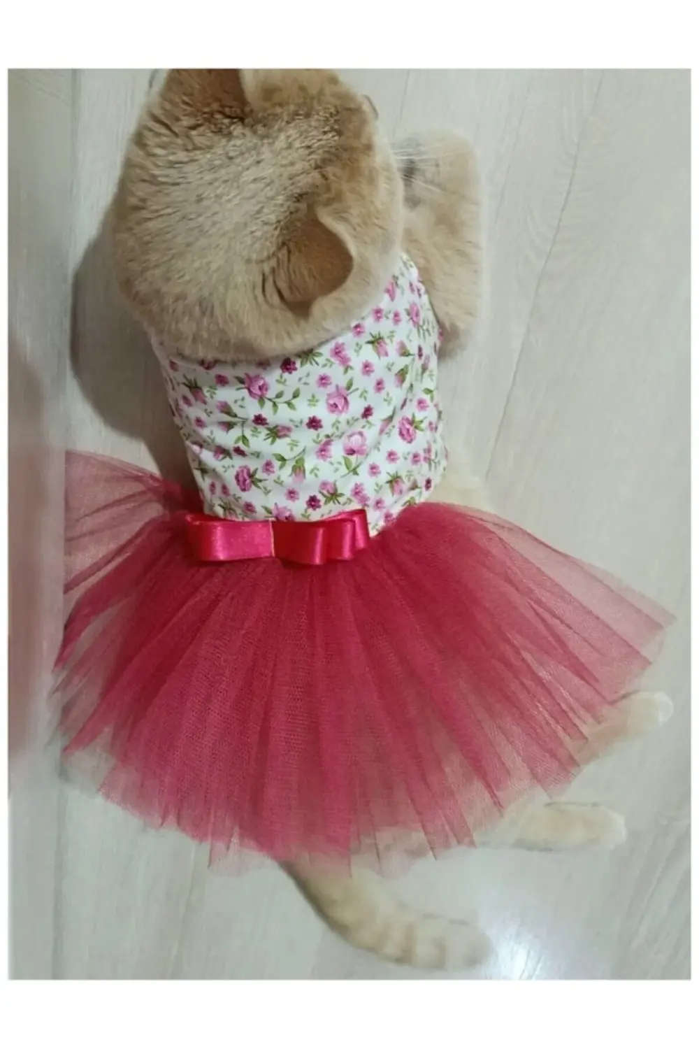 Pembe Çiçekli Kurdeleli Kırmızı Tüllü Beyaz Kedi ve Köpek Kıyafet