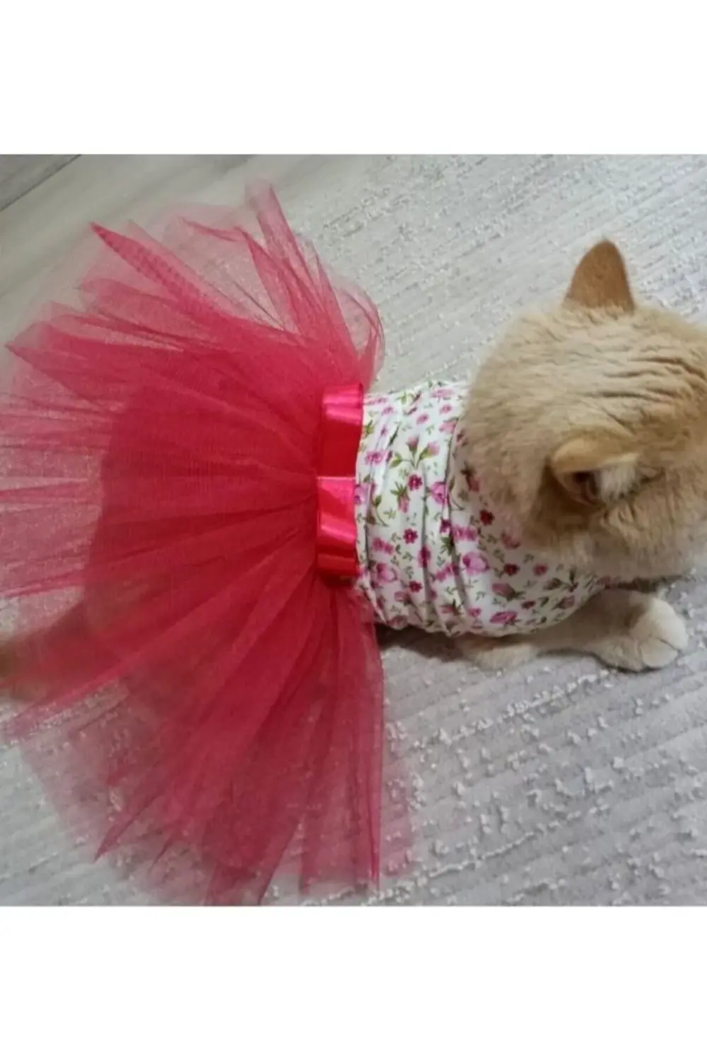 Pembe Çiçekli Kurdeleli Kırmızı Tüllü Beyaz Kedi ve Köpek Kıyafet